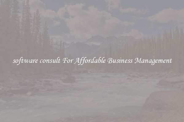 software consult For Affordable Business Management