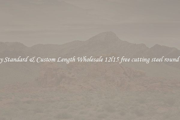 Buy Standard & Custom Length Wholesale 12l15 free cutting steel round bar
