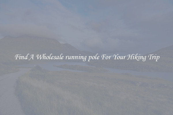 Find A Wholesale running pole For Your Hiking Trip