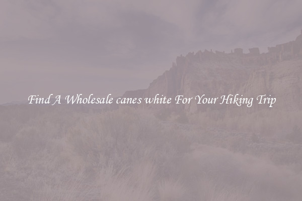 Find A Wholesale canes white For Your Hiking Trip