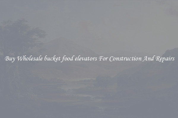 Buy Wholesale bucket food elevators For Construction And Repairs