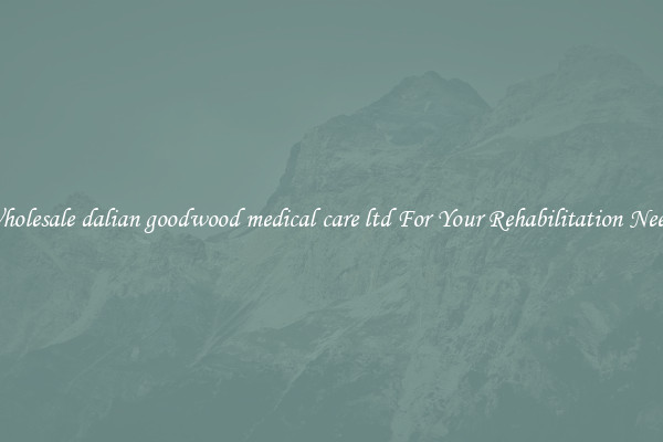 Wholesale dalian goodwood medical care ltd For Your Rehabilitation Needs