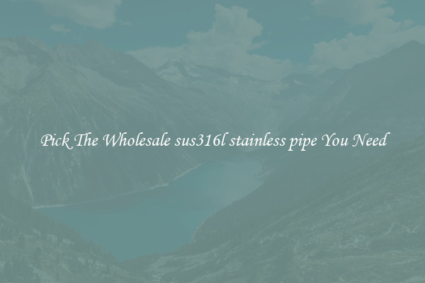 Pick The Wholesale sus316l stainless pipe You Need