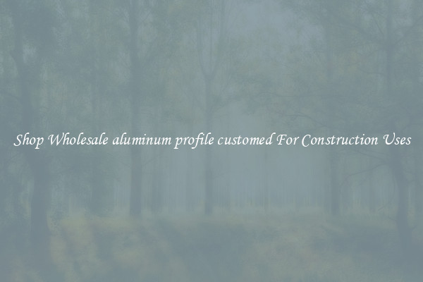 Shop Wholesale aluminum profile customed For Construction Uses