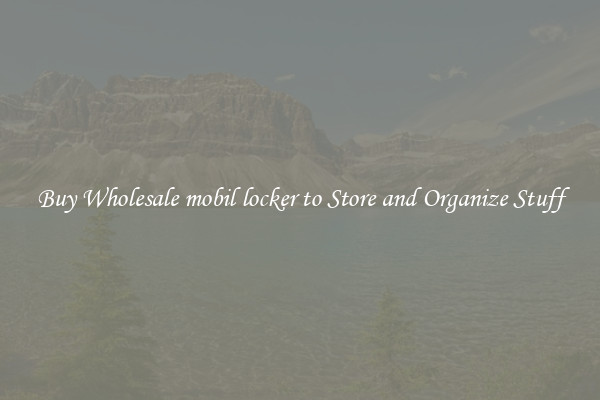 Buy Wholesale mobil locker to Store and Organize Stuff
