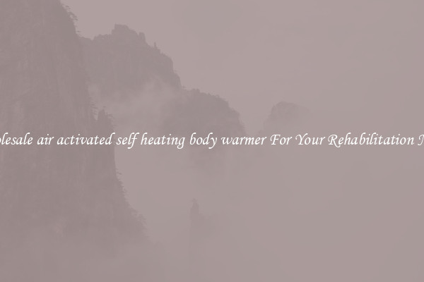 Wholesale air activated self heating body warmer For Your Rehabilitation Needs