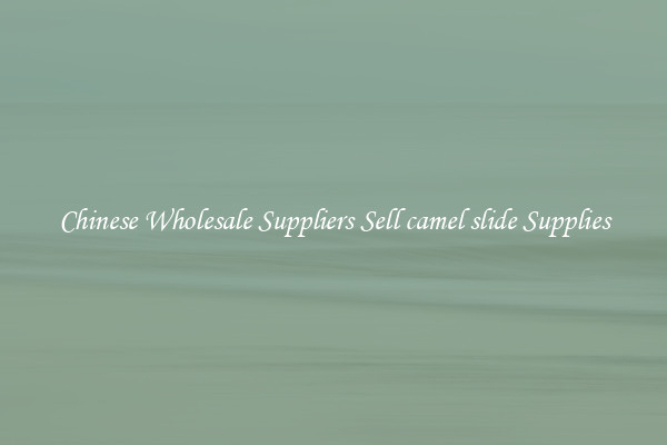 Chinese Wholesale Suppliers Sell camel slide Supplies