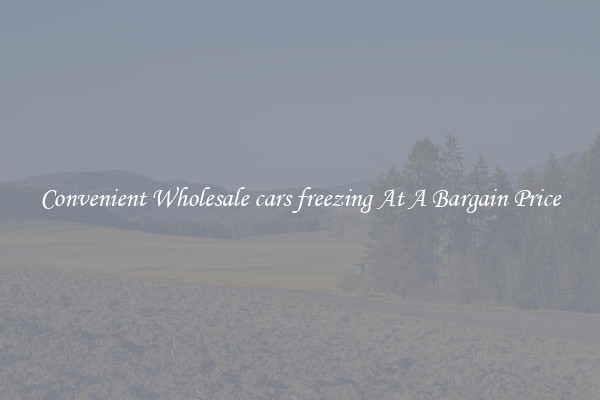 Convenient Wholesale cars freezing At A Bargain Price