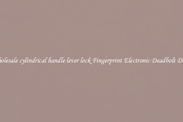 Wholesale cylindrical handle lever lock Fingerprint Electronic Deadbolt Door 